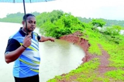 Bhandaras protecting khazans washed away due to coal-laden barges plying in Cumbharjua canal