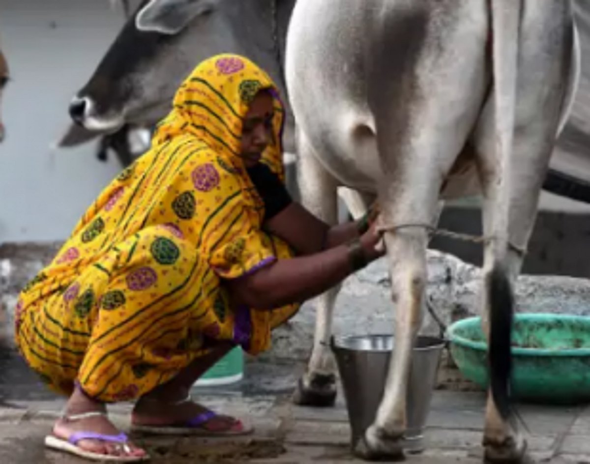 Bharitya Kisan Sangh appeals to farmers to make Kisan Credit Card