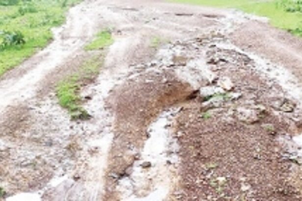 Bhiumpal villagers have no tar road for the last 60 years