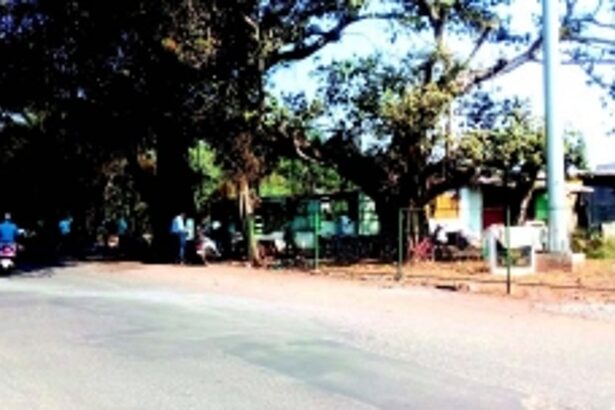 Bhodkovodd traffic island approach roads to get divider