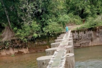Bhutpal villagers risk their lives  to cross Talpona ‘bridge’