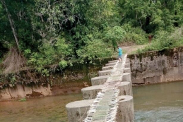 Bhutpal villagers risk their lives  to cross Talpona ‘bridge’