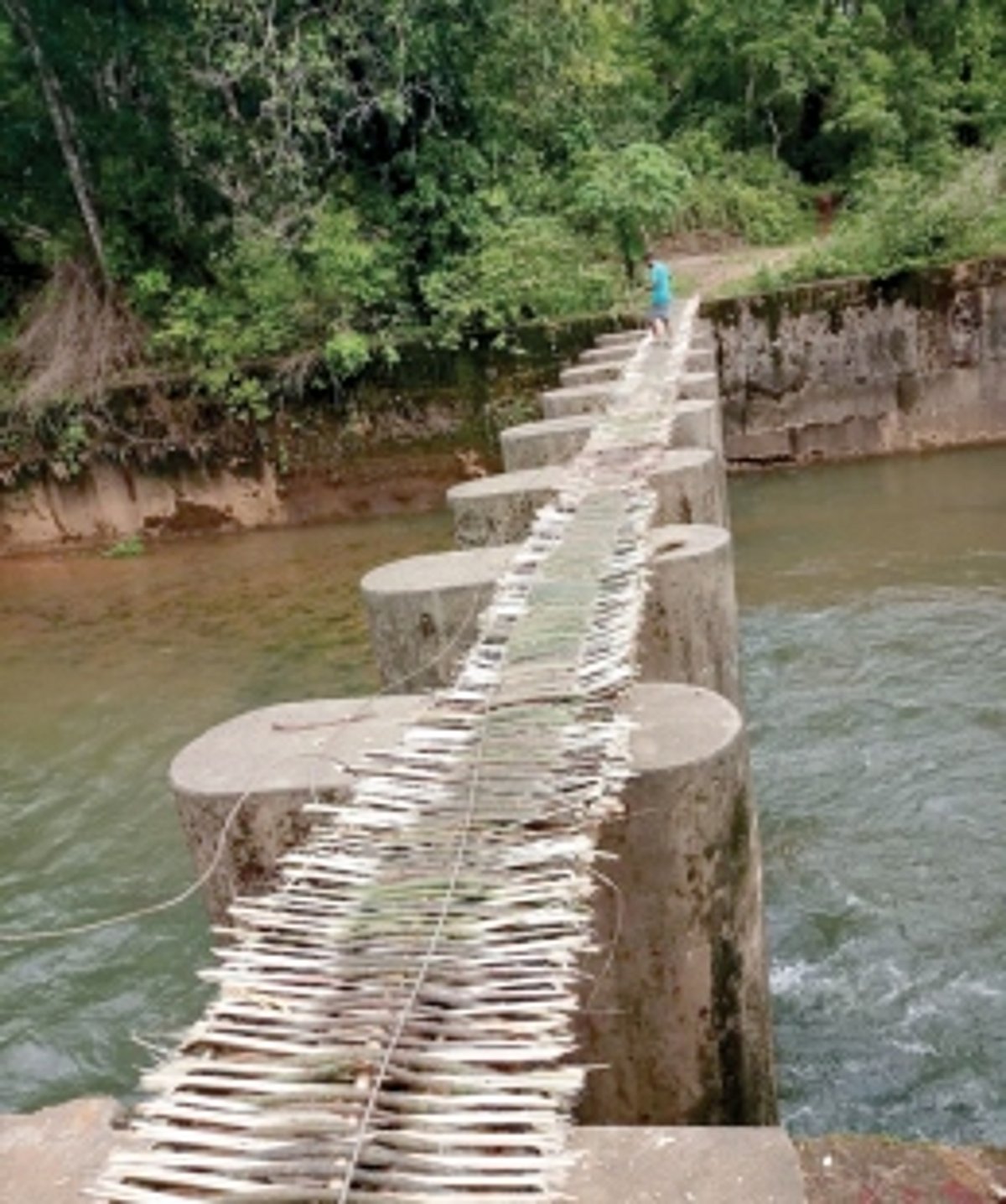 Bhutpal villagers risk their lives  to cross Talpona ‘bridge’