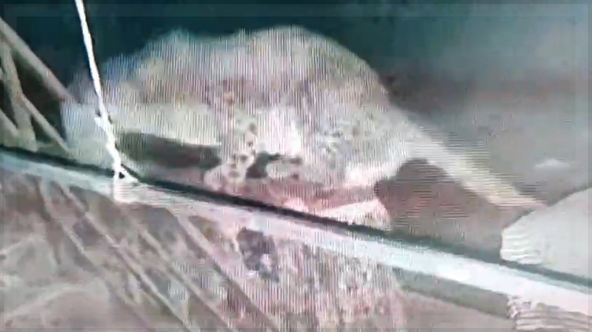 Bicholim Residents Still Fearful as Leopard is Captured, More Sightings Possible