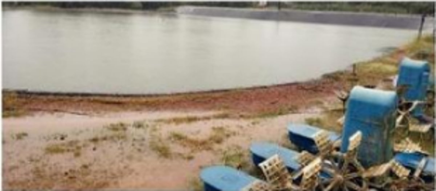 Bicholim fish farmer calls upon youth to be self-employed