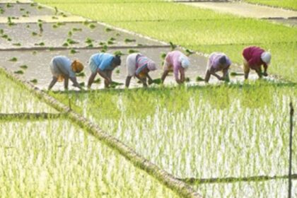Bill preventing non-Goans from purchasing agri land introduced in House