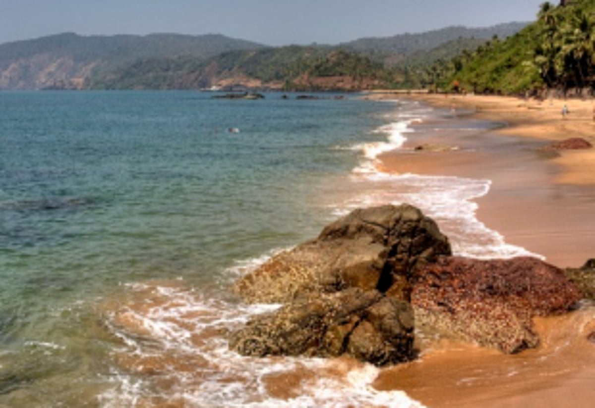 Bio-diversity Board officials, sarpanch survey Agonda beach