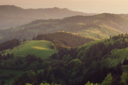 Biodiversity committees express concern over amendment of central Biological Act 2002