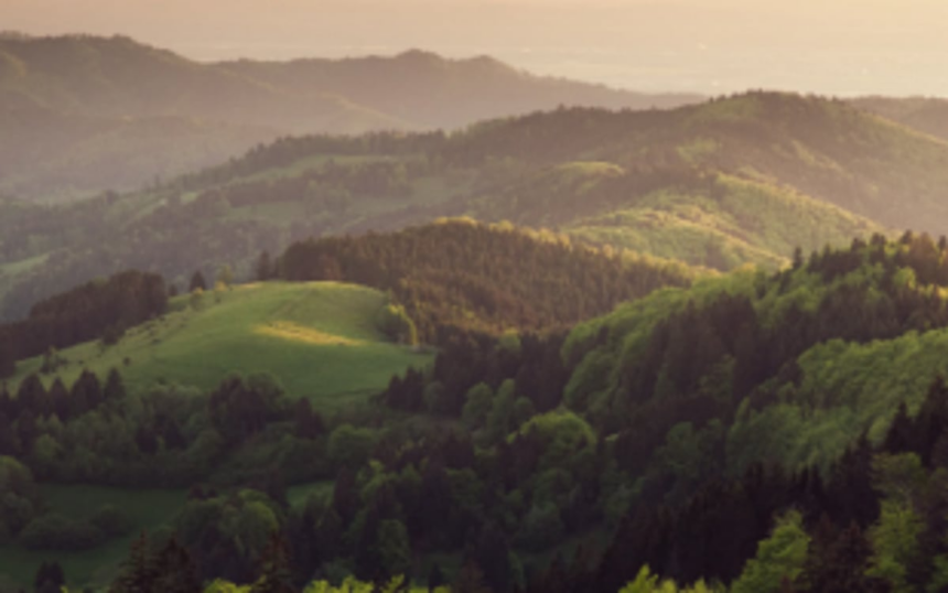 Biodiversity committees express concern over amendment of central Biological Act 2002