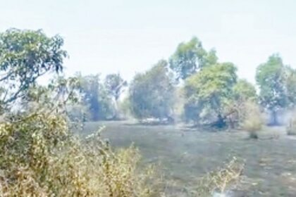 Biodiversity goes up in smoke as fire ravages Chinchinim hillock