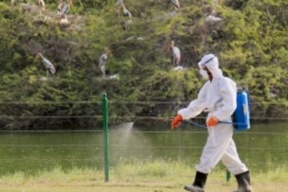 Bird Flu (H5N1) outbreak hits Alappuzha, Kerala