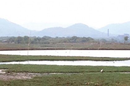 Bird trap for fish in Raia violates Wildlife Protection Act