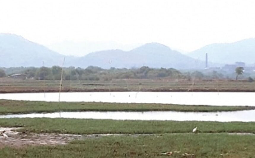 Bird trap for fish in Raia violates Wildlife Protection Act
