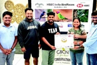 Birds of a feather flock together