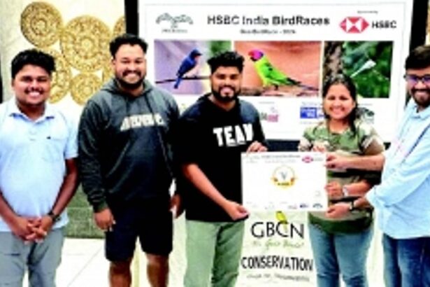 Birds of a feather flock together