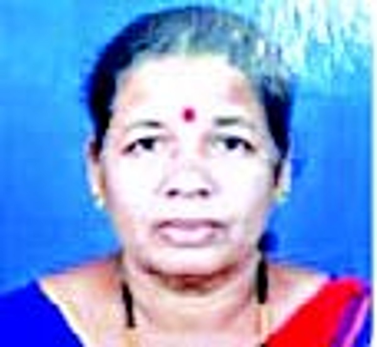 Bison gores woman to death in Bondbag
