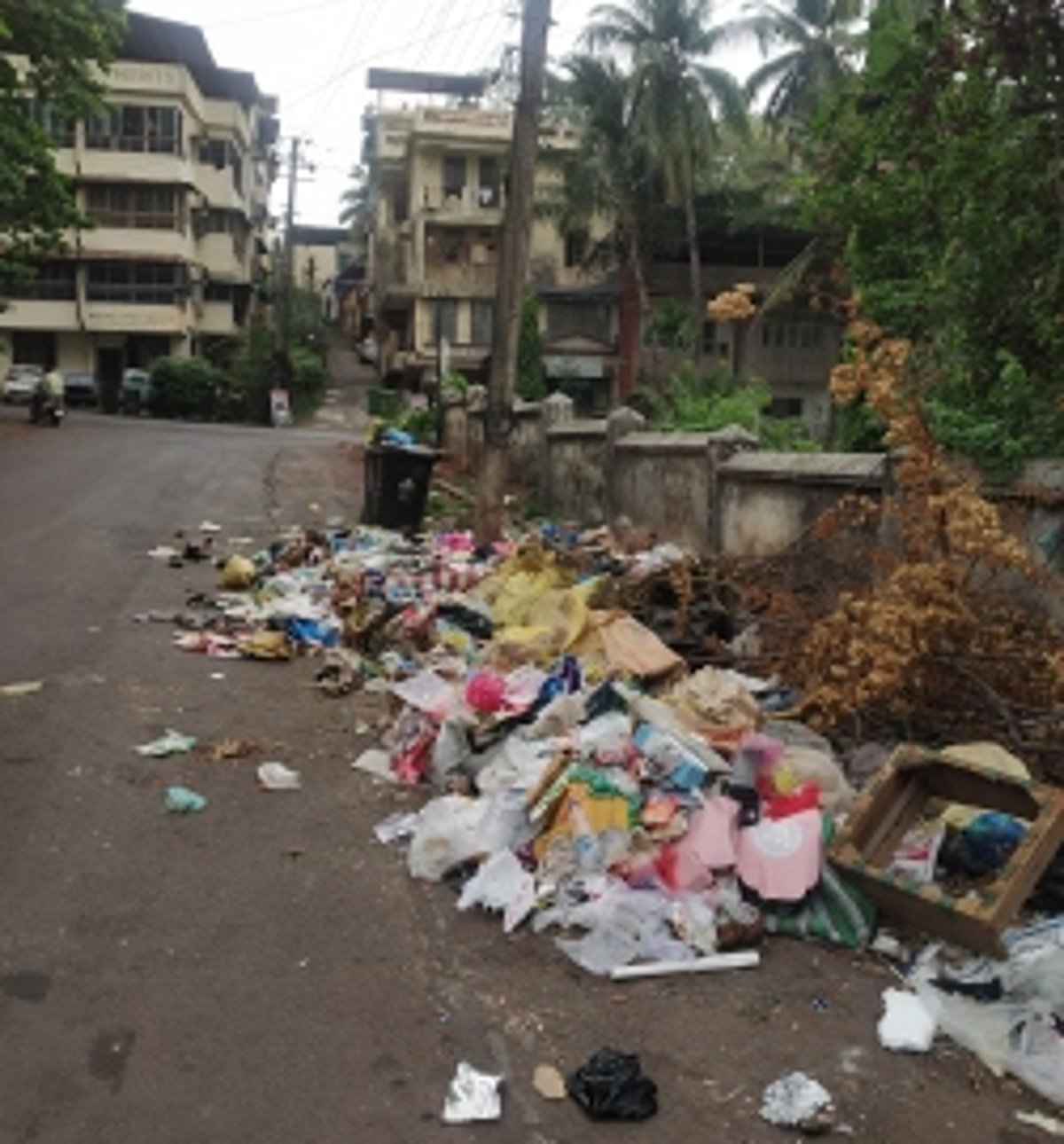 Black spots increasing  in Salcete