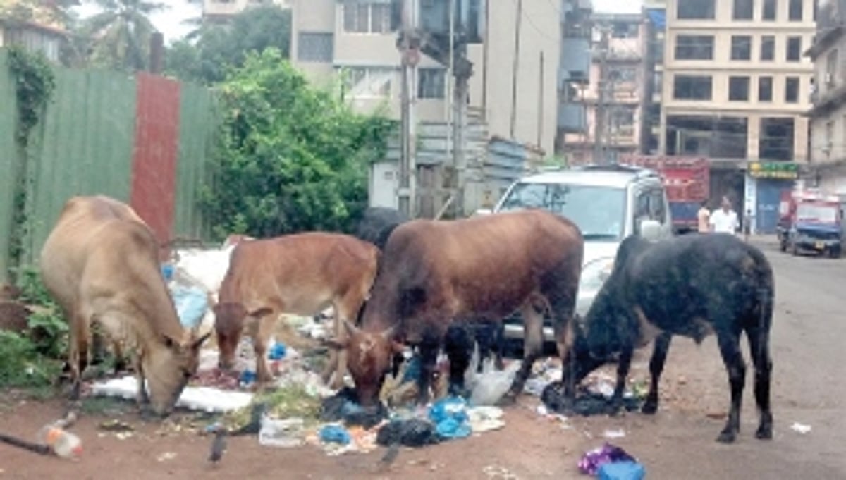 Black spots near electrical transformers can be dangerous