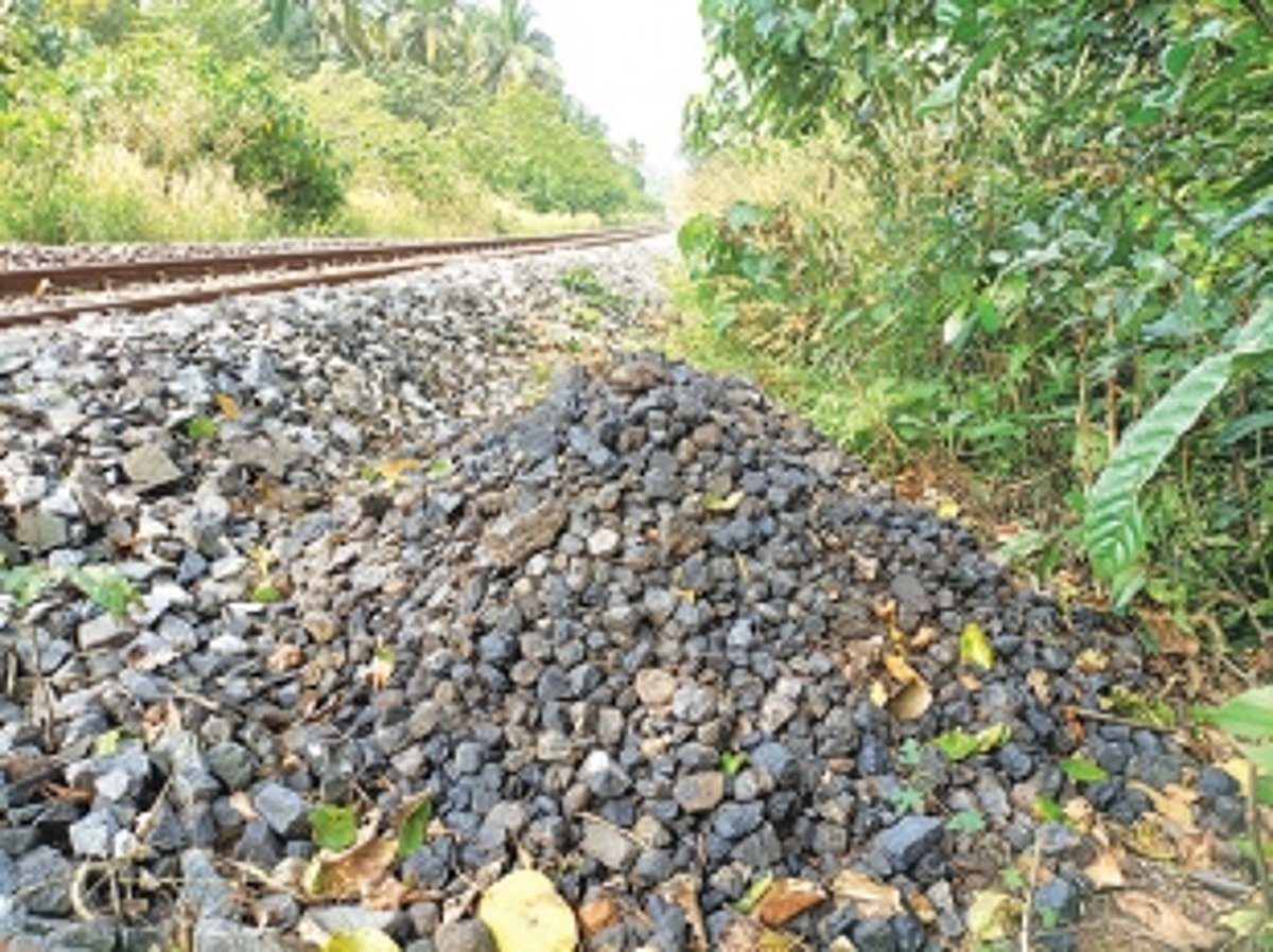 Black truth on the tracks: Herald picks up a kg of coal spilled from wagons in less than a minute