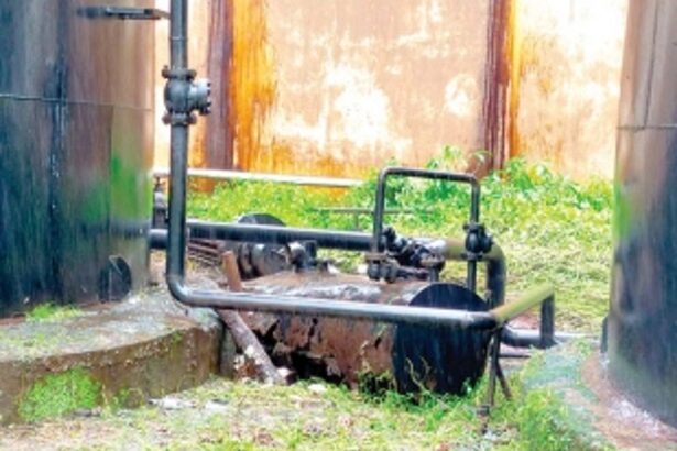 Blast at Goa Dairy cattle feed plant; loss pegged at Rs 10 lakh