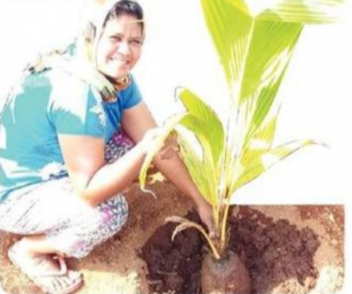 Blessed with a green thumb,  Elly Fernandes shares the joys of growing her own food
