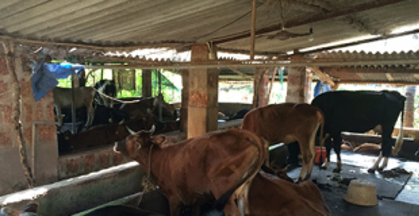 Bodgeshwar Xetkari against demolition of cowshed