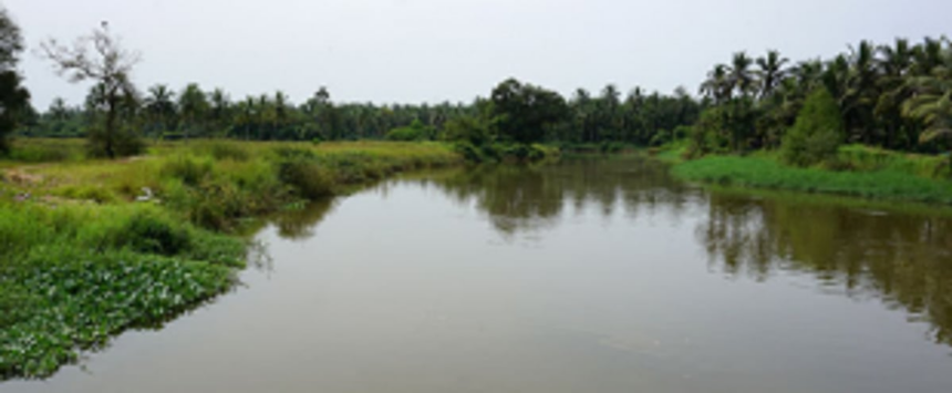 Body found floating in River Tar 1 Body found floating in River Tar