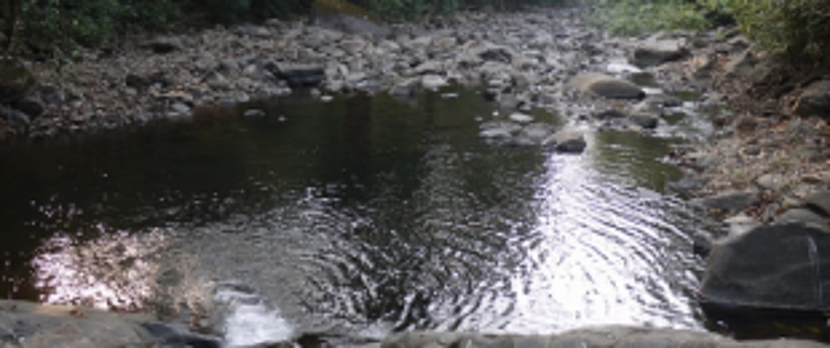 Body retrieved from Surla river