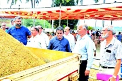 Bolstered by bountiful crop, Chinchinim ryots to revive 100 more hectares of fallow land