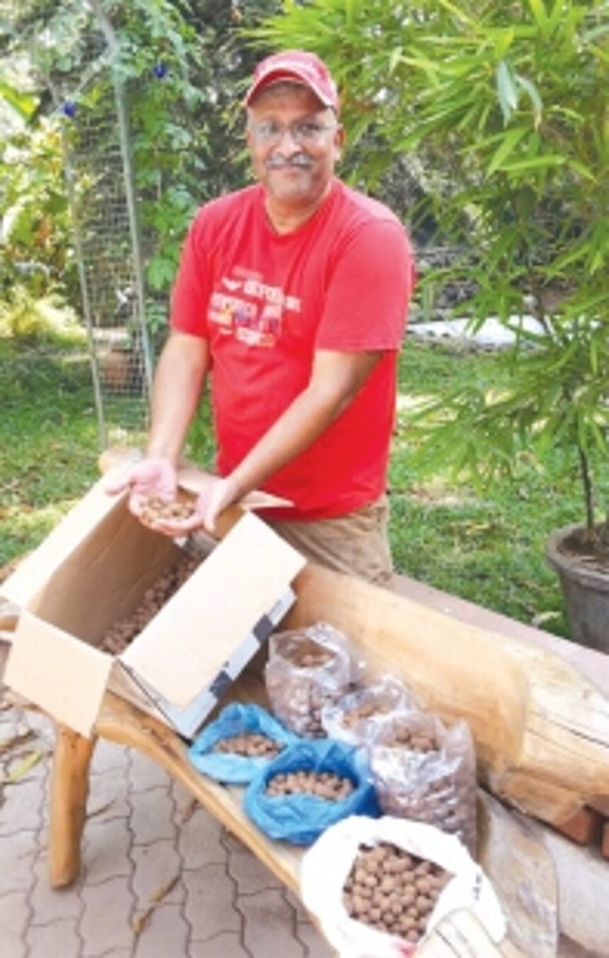 Bombarding Goa for a greener tomorrow