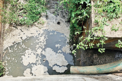 Bombay HC Orders Action Against Polluting Businesses in Salpem Lake and River Sal