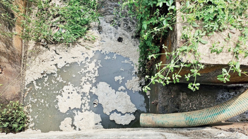 Bombay HC Orders Action Against Polluting Businesses in Salpem Lake and River Sal 1 Bombay HC Orders Action Against Polluting Businesses in Salpem Lake and River Sal