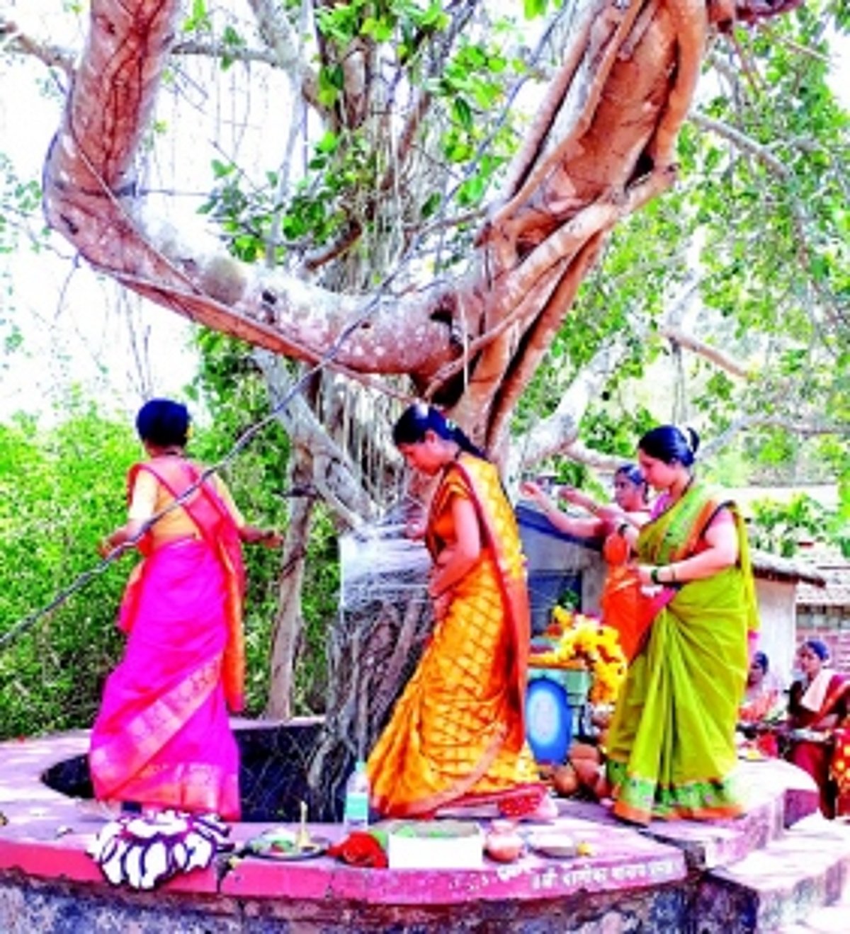 Bonding with the Banyan Tree