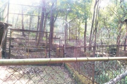 Bondla zoo loses its charm after  death of attractive animals
