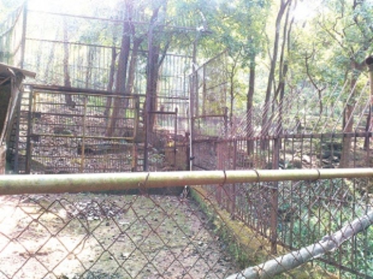 Bondla zoo loses its charm after  death of attractive animals