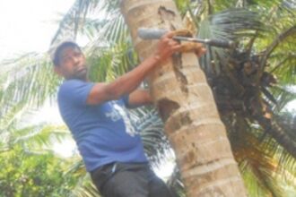 Book your next Padekar online