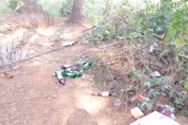 Booze party zones at Siolim