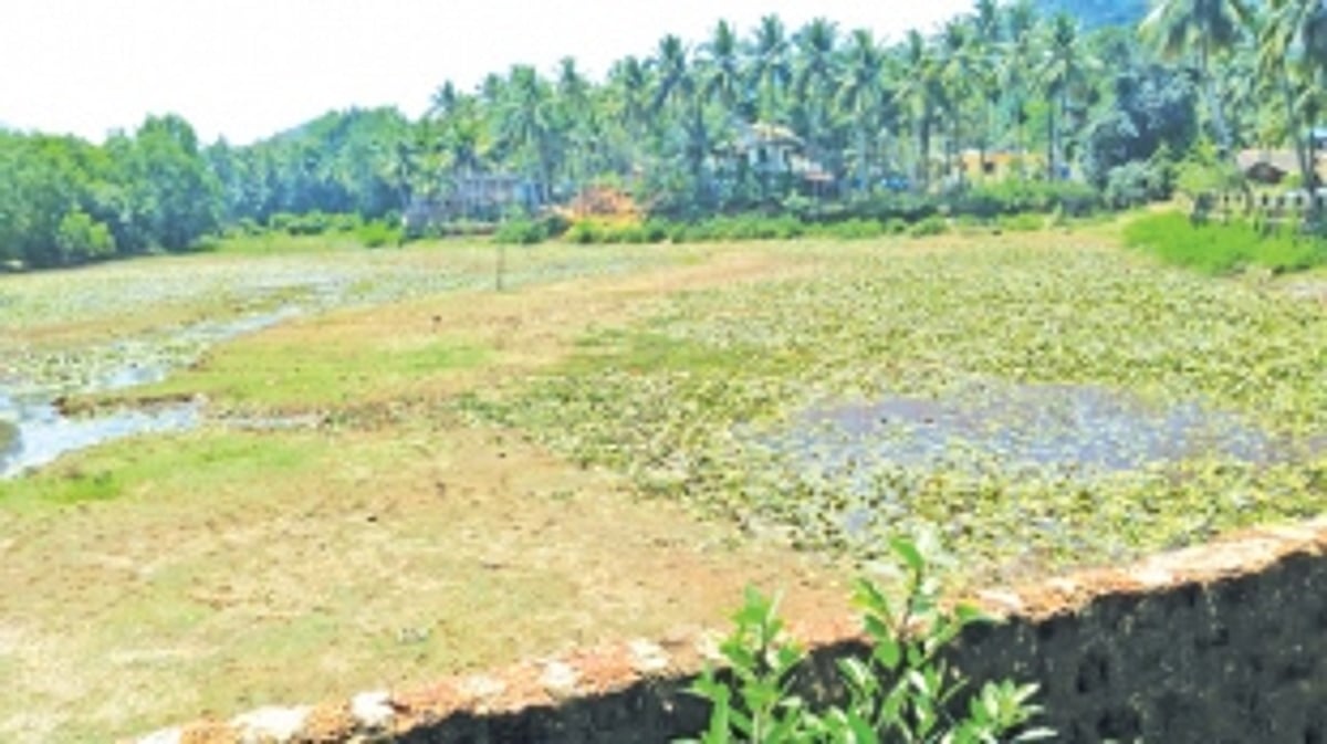 Borim Lake polluted, sarpanch threatens to  disconnect water connections to residents