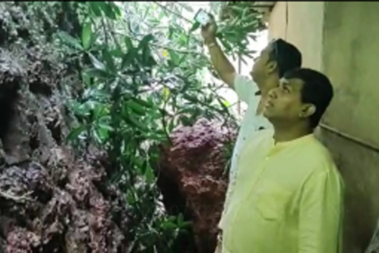 Boulder comes crashing down on  house at Vasco, portion damaged