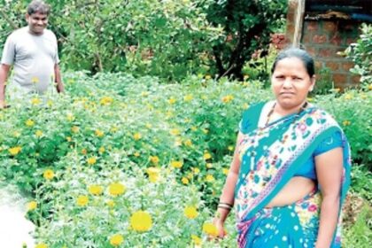 Bountiful yields, thanks to innovative farming with a ‘personal touch’