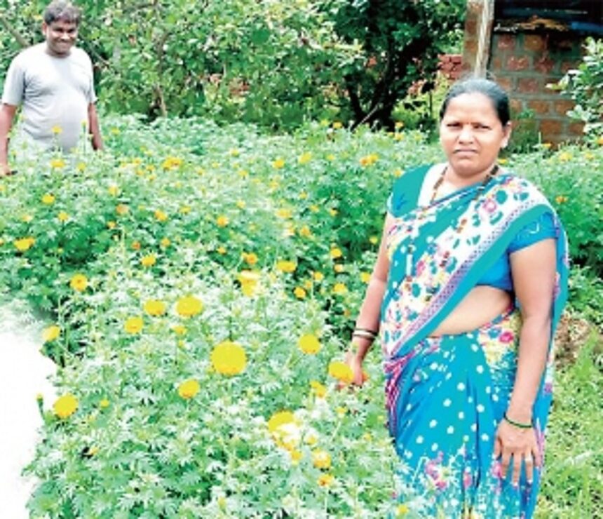 Bountiful yields, thanks to innovative farming with a ‘personal touch’