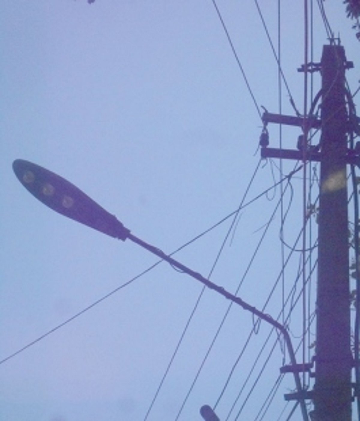 Branches covering LED fixture chopped