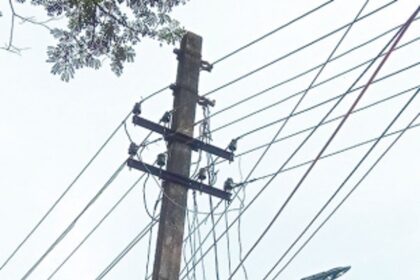 Branches touching electrical wires already trimmed at Varkhandem