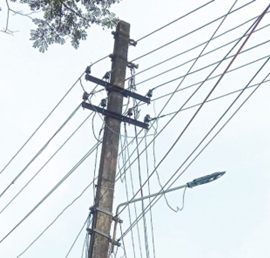 Branches touching electrical wires already trimmed at Varkhandem