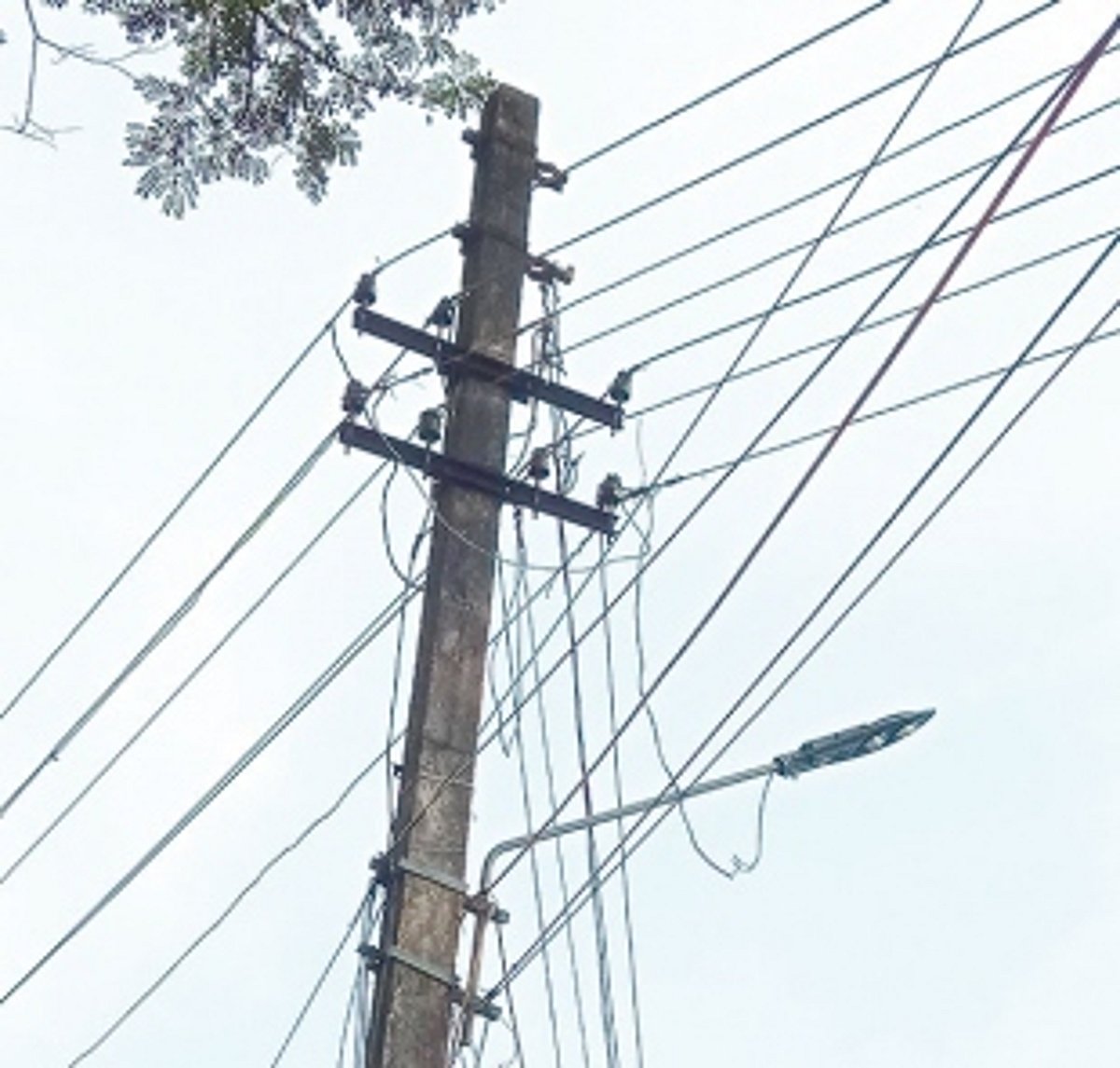 Branches touching electrical wires already trimmed at Varkhandem