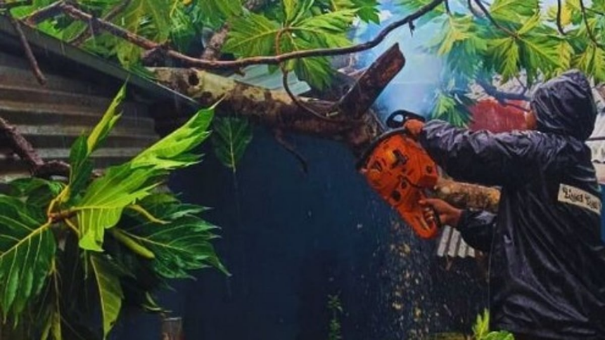 Breadfruit Tree Falls on House in Sanguem’s Junawada Amid Heavy Rains, Causes Major Damage 1 Breadfruit Tree Falls on House in Sanguem’s Junawada Amid Heavy Rains, Causes Major Damage