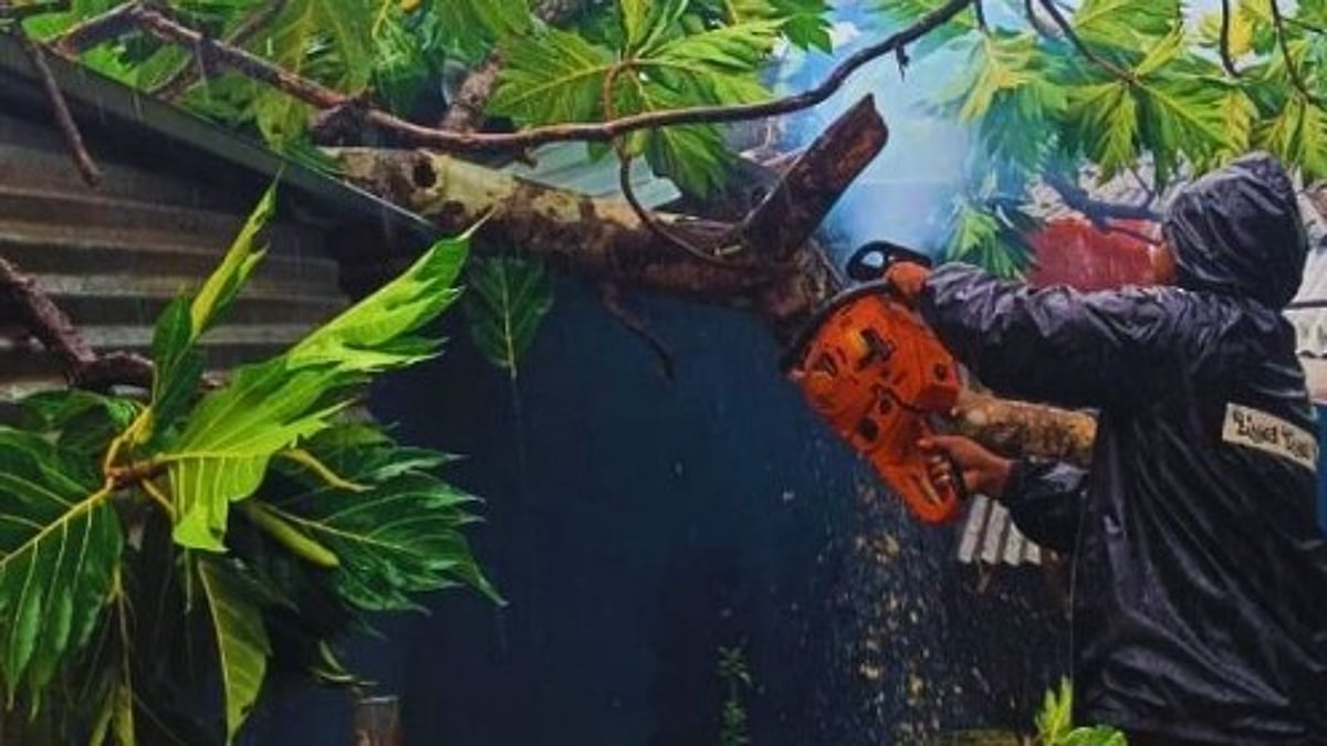 Breadfruit Tree Falls on House in Sanguem’s Junawada Amid Heavy Rains, Causes Major Damage