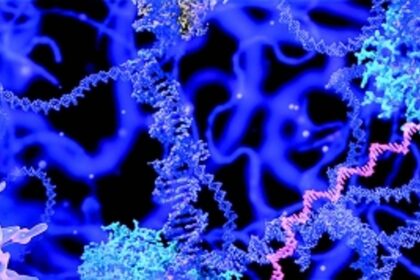 Breast cancer is the worst in Goa