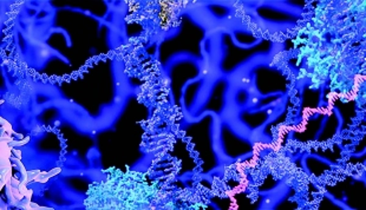 Breast cancer is the worst in Goa