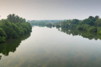 Bridge the communication gap to the benefit of all